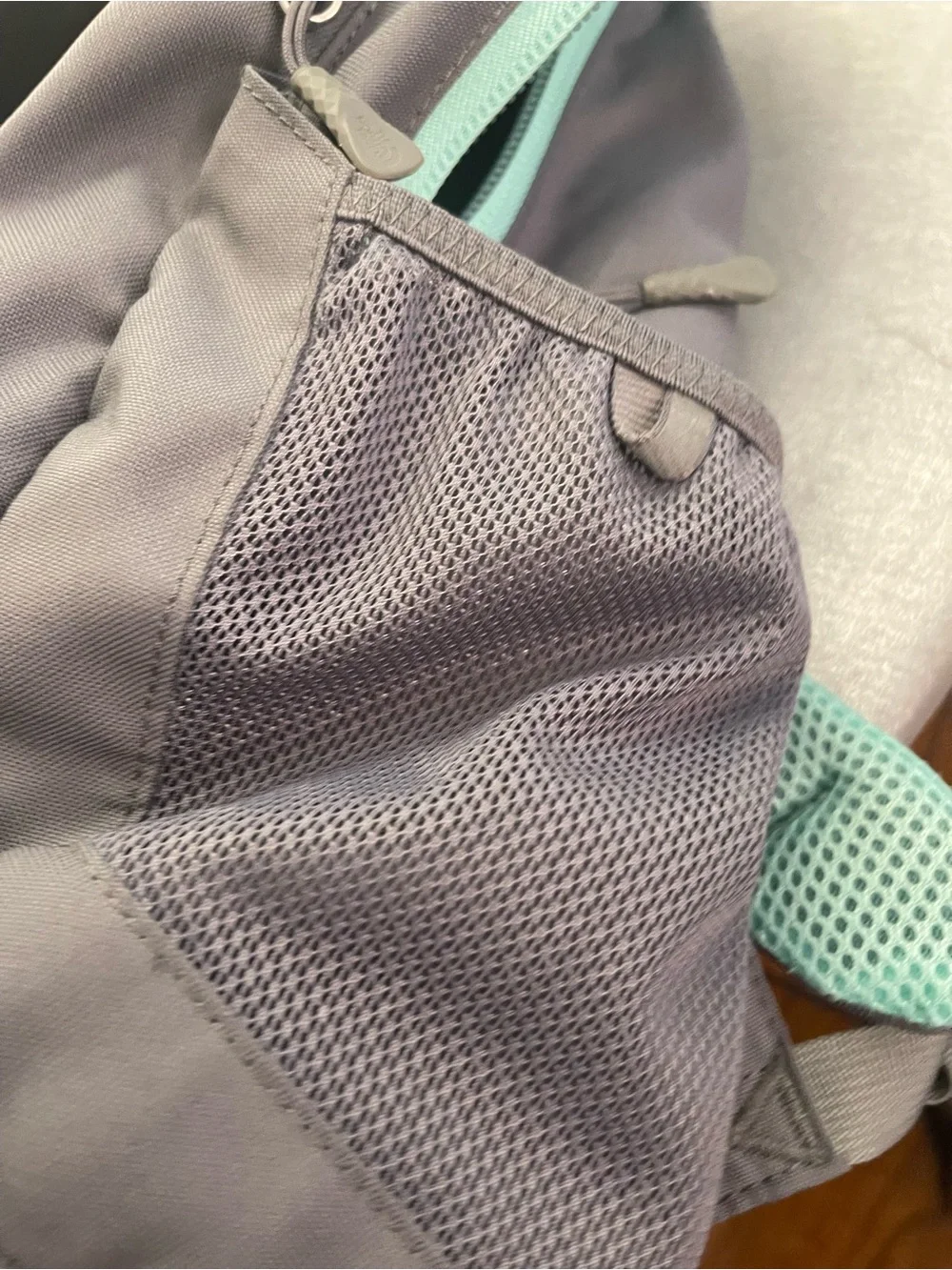 The North Face Mint and Gray Backpack Organizer